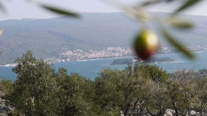 P1040883